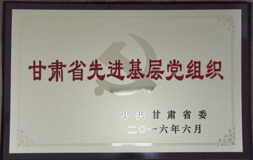 甘肅省先進(jìn)基層黨組織.jpg